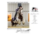 Diana and Dewey: reserve champion in the Vanner Advantage year end awards